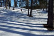 Cross skiing in Latvia