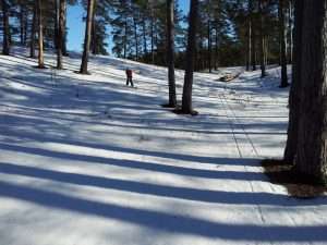 Cross skiing in Latvia