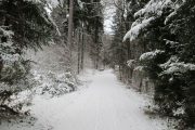 Snowmobile_Safari_Estonia