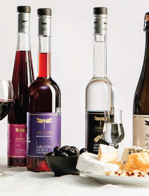 Abavas Winery & Sabile Wine Hill Tour from Riga | Latvian Wine Tasting