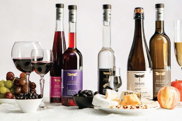 Abavas Winery & Sabile Wine Hill Tour from Riga | Latvian Wine Tasting