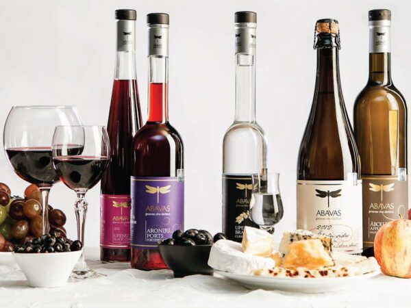 Abavas Winery & Sabile Wine Hill Tour from Riga | Latvian Wine Tasting