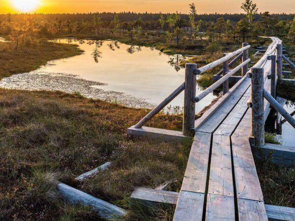 Ķemeri National Park & Jūrmala Day Tour from Riga