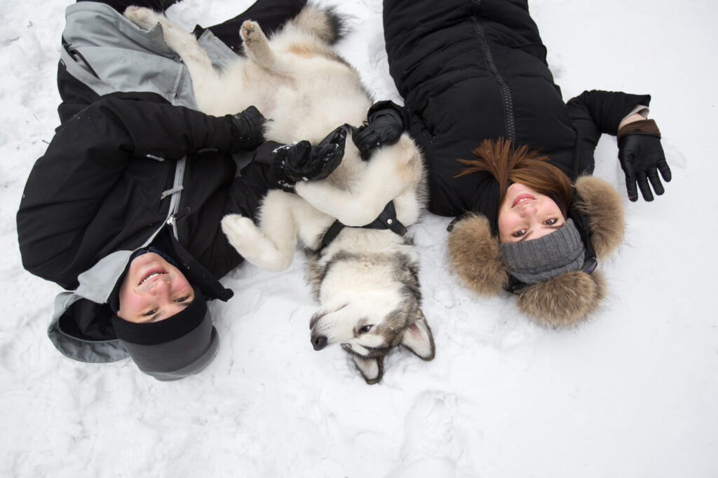 Beautiful family, a man and a girl in winter forest with dog. Play with the dog Siberian husky.