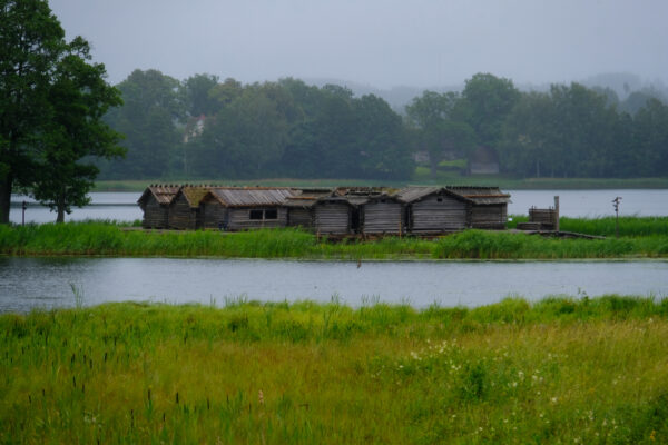 Cesis Day Tour from Riga – Medieval Castle, Araisi Lake & Gauja National Park