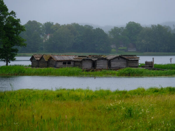 Cesis Day Tour from Riga – Medieval Castle, Araisi Lake & Gauja National Park