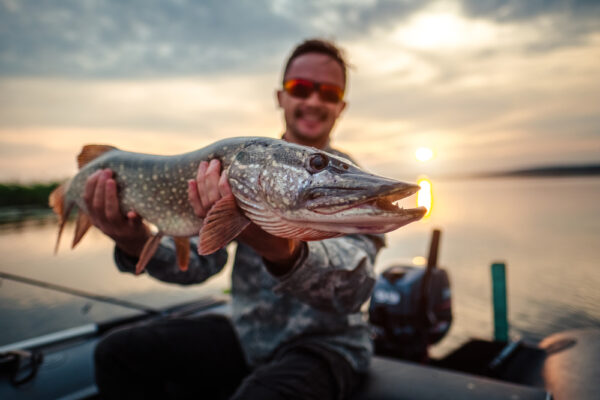 Guided Fishing Tour in Latvia – Pike, Zander & Perch