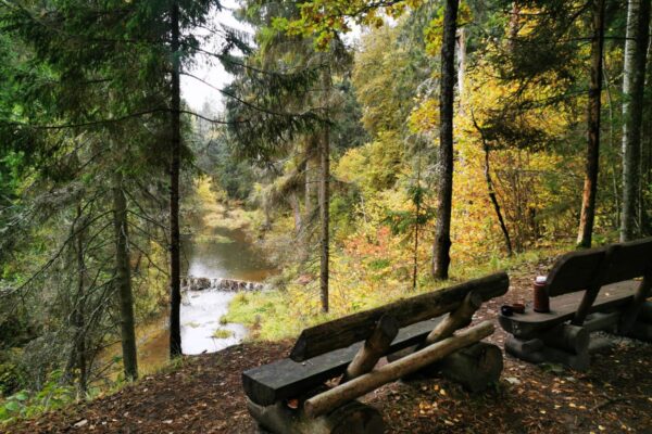 Viesata River Circles Hiking Tour from Riga